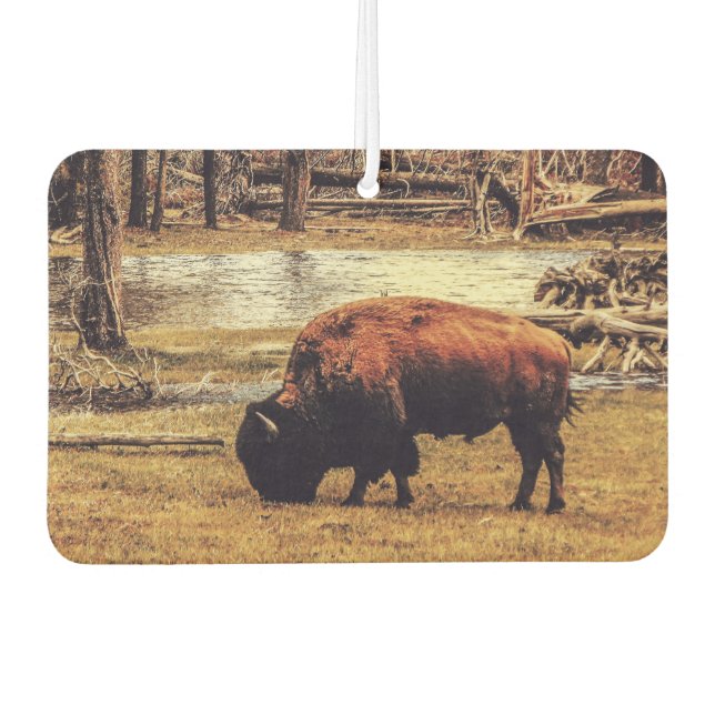 Bison Air Freshener (Front)
