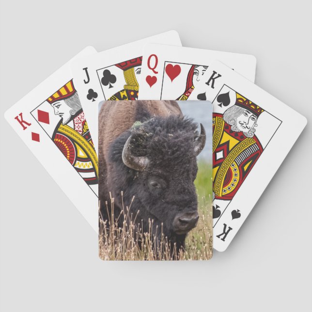 Bison (aka Buffalo) Through a Large Lens Playing Cards (Back)