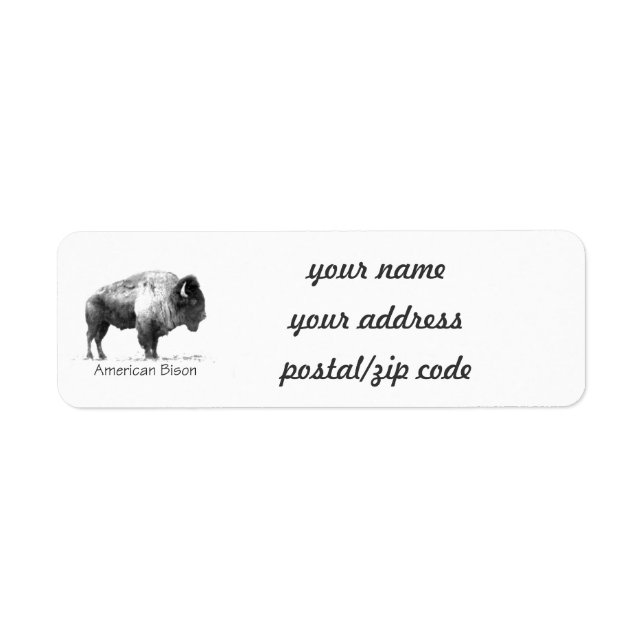 Bison américain (Devant)