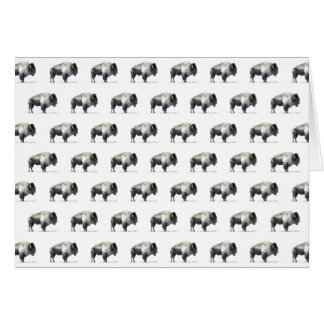 Bison américain