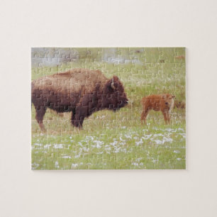 Bison and Calf in Yellowstone Jigsaw Puzzle