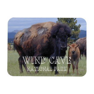 Bison and Calf, Wind Cave National Park, SD Magnet