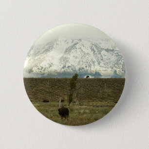 Bison at Grand Teton National Park Photography 2 Inch Round Button
