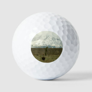 Bison at Grand Teton National Park Photography Golf Balls