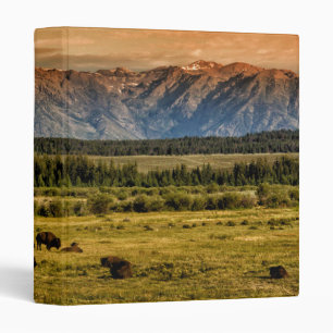 Bison at Sunrise Binder