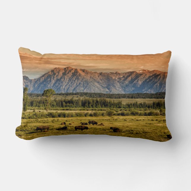 Bison at Sunrise Lumbar Pillow (Front)