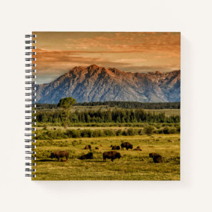 Bison at Sunrise Notebook