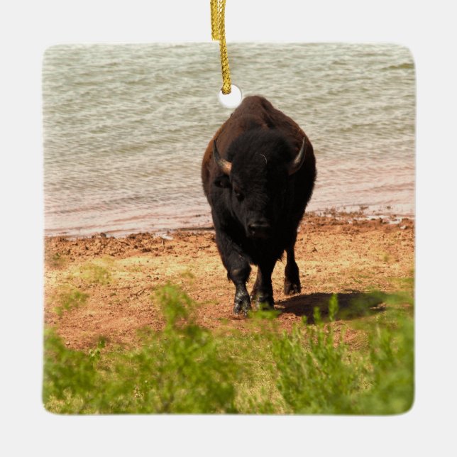 Bison at the Water Ceramic Ornament (Front)