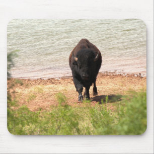 Bison at the Water Mouse Pad