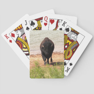 Bison at the Water Playing Cards