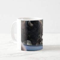 Bison Beverage