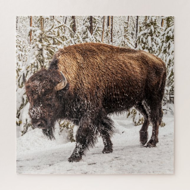 Bison (Bison bison) - Buffalo - Snow - 676 piece Jigsaw Puzzle (Vertical)