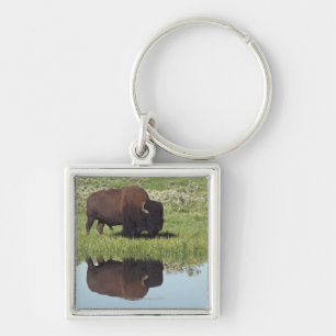 Bison (Bison Bison) On Grassy Meadow Keychain
