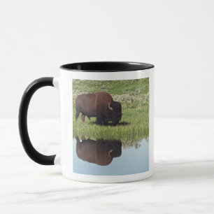 Bison (Bison Bison) On Grassy Meadow Mug