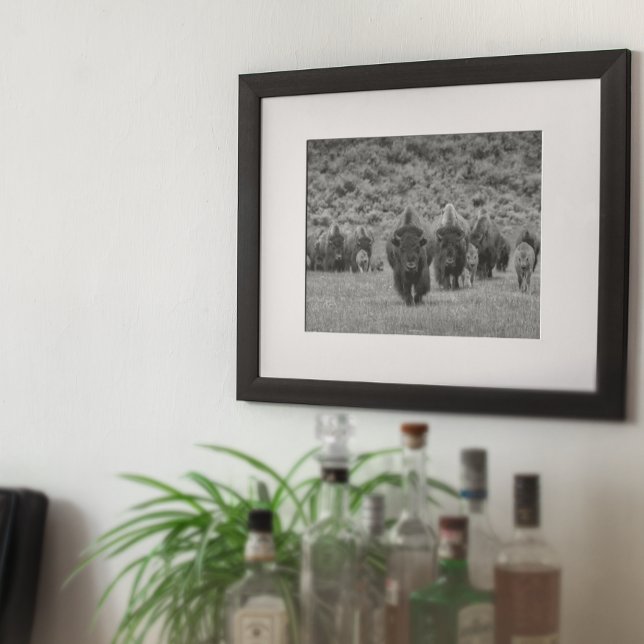 Bison Black White Cabin Farmhouse Style Modern Poster (Creator Uploaded)