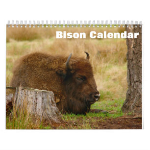 Bison Buffalo 2027 Calendar