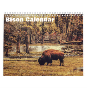 Bison Buffalo 2027 Calendar