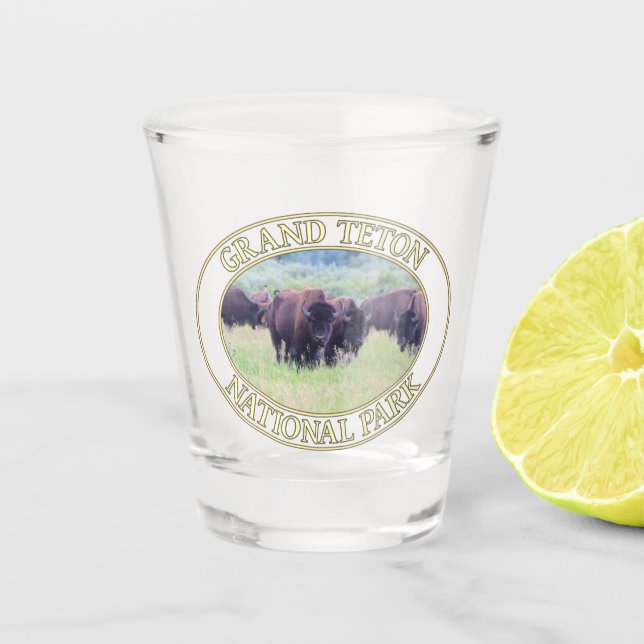 Bison / Buffalo at Grand Teton National Park in WY Shot Glass (Front)