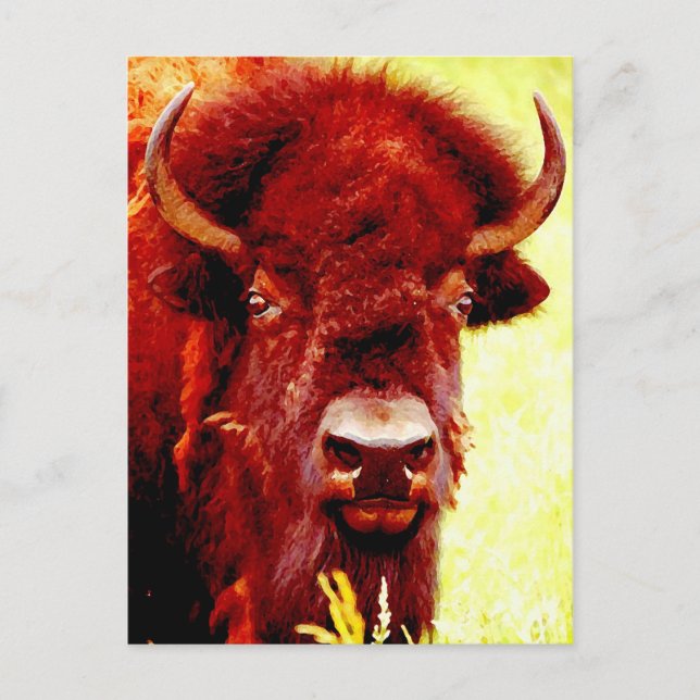 Bison / Buffalo Face Postcard (Front)