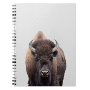 Bison Buffalo Photo 135 Notebook