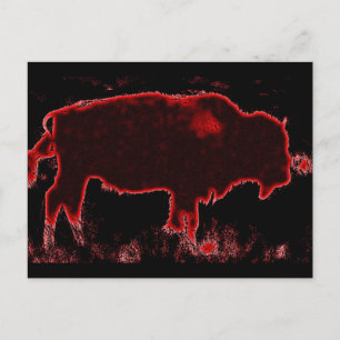 Bison / Buffalo Postcard