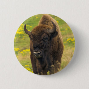 Bison Button Badge