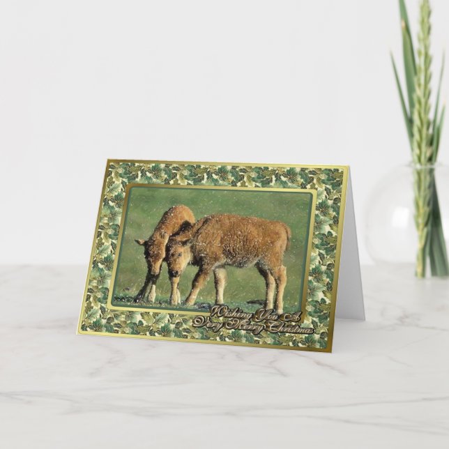 Bison Calves North American Animal Christmas Card (Front)