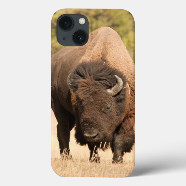Bison Case-Mate iPhone Case (Back)