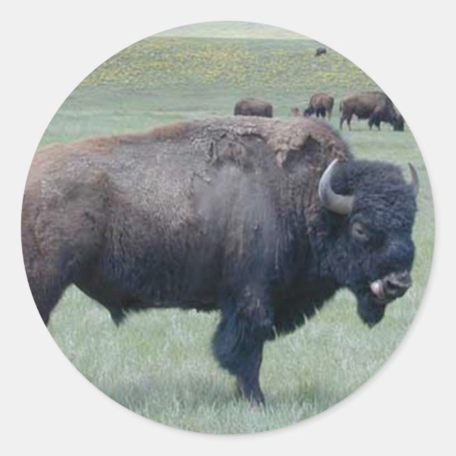 Bison Classic Round Sticker (Front)