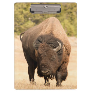 Bison Clipboard