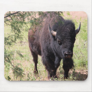 Bison Close Up Mouse Pad