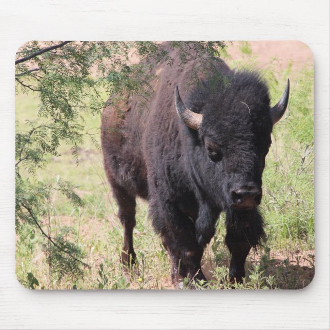 Bison Close Up Mouse Pad (Front)