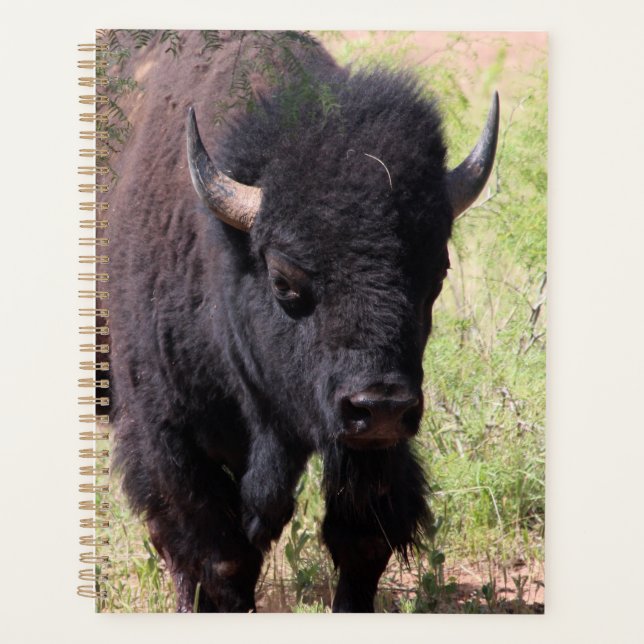 Bison Close Up Planner (Front)