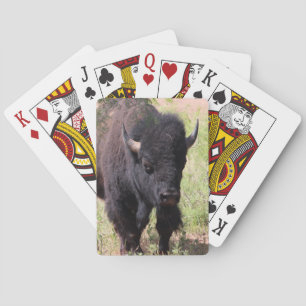 Bison Close Up Playing Cards