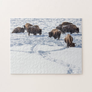 Bison dans le puzzle de scie à neige