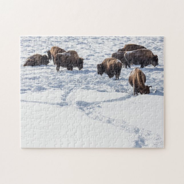 Bison dans le puzzle de scie à neige (Horizontal)