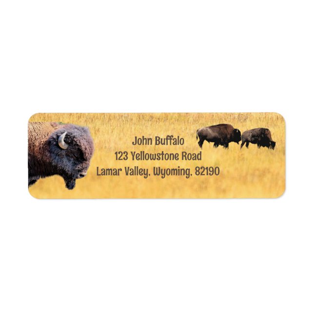 Bison dans Yellowstone Adresse de retour (Devant)