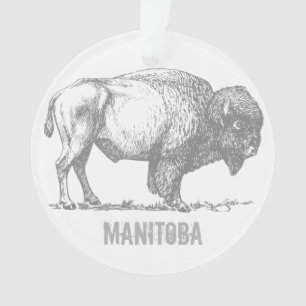 Bison de Manitoba