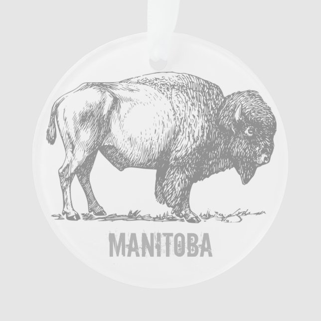 Bison de Manitoba (devant)