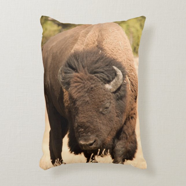 Bison Decorative Pillow (Front(Vertical))