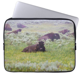 Bison Dream Laptop Case