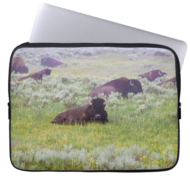 Bison Dream Laptop Case (Front)