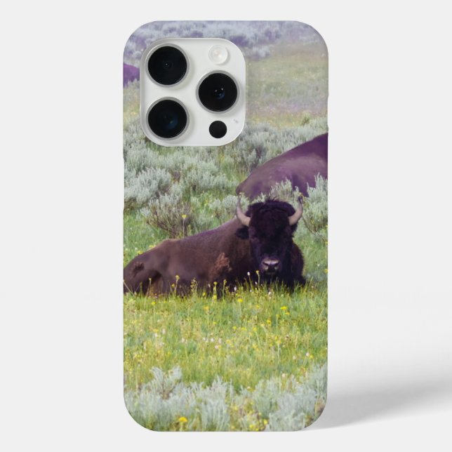 Bison Dreams Phone Wallet Case-Mate iPhone Case (Back)