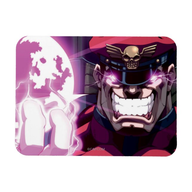 Bison Energy Ball Magnet (Horizontal)