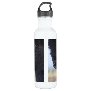 bison face 710 ml water bottle
