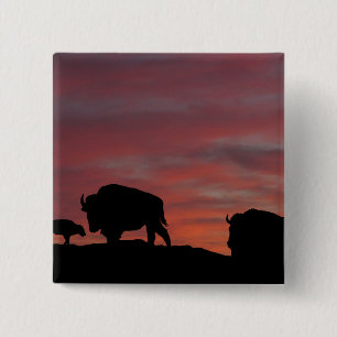 Bison family 2 inch square button