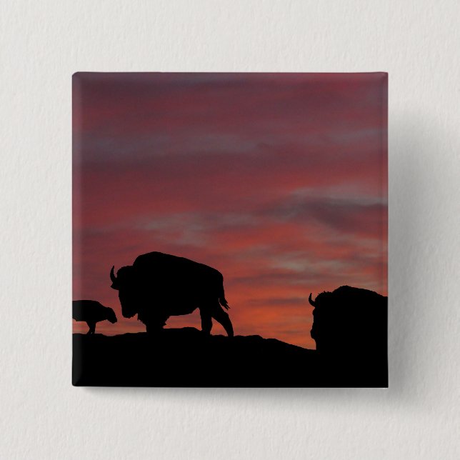 Bison family 2 inch square button (Front)
