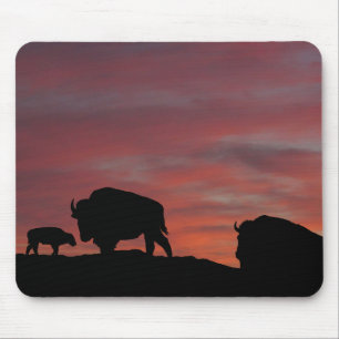 Bison family mouse pad