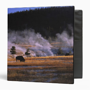 Bison grazing in the Upper Geyser Basin Binder