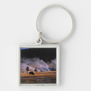 Bison grazing in the Upper Geyser Basin Keychain